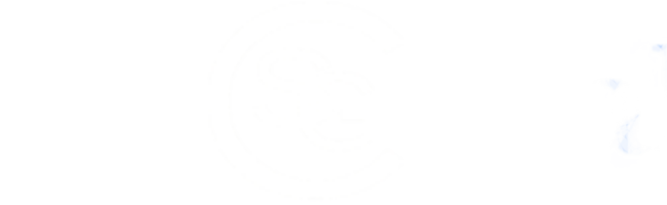 Infobip Logo
